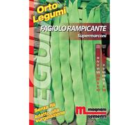 Semi Fagiolo rampicante Supermarconi 200 gr