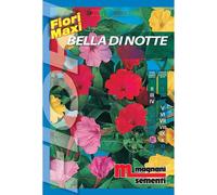 Semi fiori Bella di notte