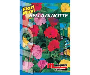 Semi fiori Bella di notte
