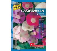 Semi fiori Campanella Ipomea