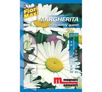 Semi fiori Margherita Mayqueen