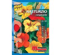 Semi fiori Nasturzio rampicante