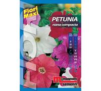 Semi fiori Petunia nana Compacta