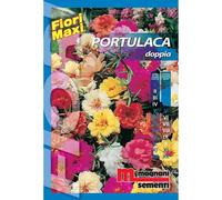 Semi fiori Portulaca doppia