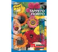 Semi fiori Tappeto fiorito