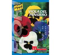 Semi fiori Viola del pensiero