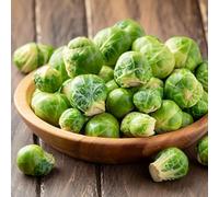 semi freschi di cavoletti di Bruxelles, biologici, letto rialzato, varietà antiche, resistenti per il giardino 250pcs