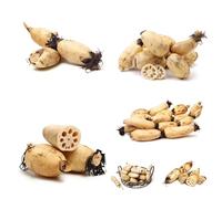 semi freschi di radice di loto, decorazione ufficio selvatiche resistenti vecchie varietà esotiche 1pcs