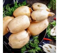 semi freschi di radice di loto, invernali vecchie varietà aiuole rialzate per giardino resistenti 1pcs