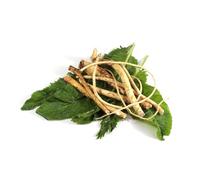 semi freschi di rafano, biologici, antiche varietà, selvatiche, 150pcs