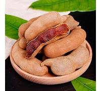 semi freschi di tamarindo vecchie varietà decorazione da giardino resistenti per il balcone alla decorative 22pcs