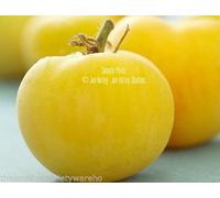 Semi Garden Peach Pomodoro Non OGM Prolifico d'oro Rotonda Gusto Ricco Seeds ONLY