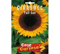 Semi - Girasole Full Sun