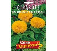 Semi - Girasole Ornamentale Nano doppio