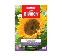 SEMI GIRASOLE SEMI COMMESTIBILI BLUMEN