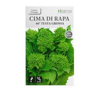 Semi Graffitati di CIMA DI RAPA 500 g - Ciclo 60 Giorni - Alta Germinazione - Semi Pelletizzati Professionali per Orto e Serra - Spedizione Gratis