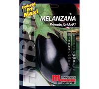 Semi ibridi Melanzana Primato
