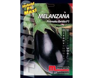 Semi ibridi Melanzana Primato