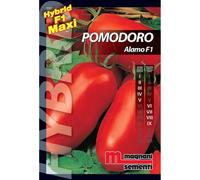 Semi ibridi Pomodoro Alamo