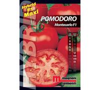 Semi ibridi Pomodoro Montecarlo