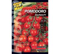 Semi ibridi Pomodoro Zucchero