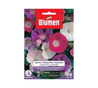 SEMI IPOMEA RAMPICANTE FIORI MIX BLUMEN