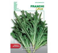 Semi Lattuga Barba dei Frati Franchi Sementi 8g