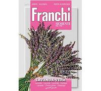 SEMI LAVANDA VERA FRANCHI SEMENTI