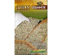 Semi lenticchie Franchi sementi 100g