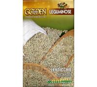 Semi lenticchie Franchi sementi 100g