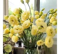 semi lisianthus - boffie semi balcone decorativo interni esotici tagliati 50pcs