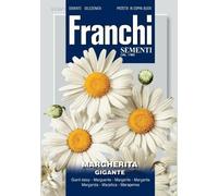 Franchi Sementi Margherita Gigante - 1 pz.