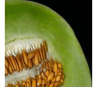 Semi Melon Verde Flesh (Cucumis Melo) + 50 Semi Seeds ONLY