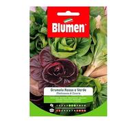 SEMI MISTICANZA DI CICORIE GRUMOLO ROSSO E VERDE BLUMEN SEMENTI ORTO