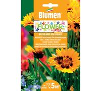 Semi mix fiori bassi per aree soleggiate