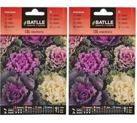 Semi Orticole - col Ornamentale Assortito - Batlle (Confezione da 2)