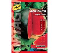 Semi orto maxi Anguria Sugar Baby