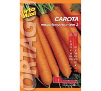 Semi orto maxi Carota mezza lunga