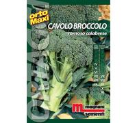 Semi orto maxi Cavolobroccolo ramoso