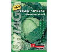 Semi orto maxi Cavolocappuccio cop.markert