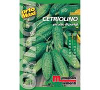 Semi orto maxi Cetriolino piccolo
