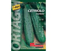 Semi orto maxi Cetriolo marketer
