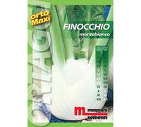 Semi orto maxi Finocchio Montebianco