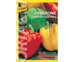 Semi orto maxi Peperone quadrato d`Asti