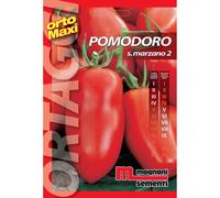 Semi orto maxi Pomodoro S Marzano 2