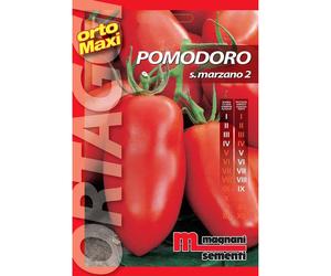 Semi orto maxi Pomodoro S Marzano 2