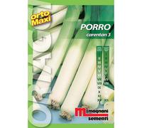 Semi orto maxi Porro Carentan 3