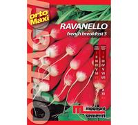 Semi orto maxi Ravanello French breakfast