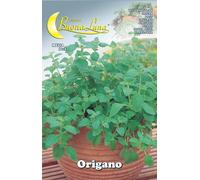 Semi Orto Origano Hortus Sementi 10 Pezzi
