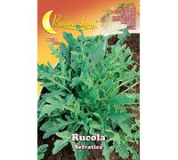 SEMI ORTO RUCOLA SELVATICA